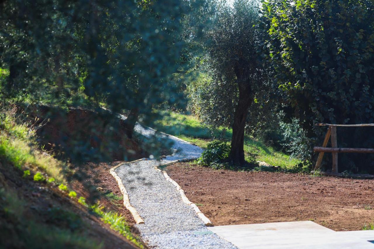 Agriturismo Terra Volonteri Монтекатини Терме Екстериор снимка
