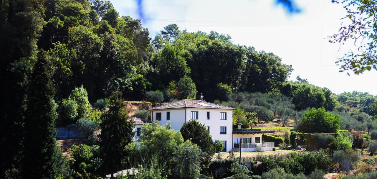 Agriturismo Terra Volonteri Монтекатини Терме Екстериор снимка