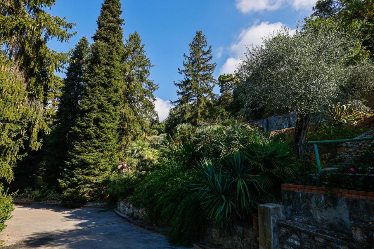 Agriturismo Terra Volonteri Монтекатини Терме Екстериор снимка
