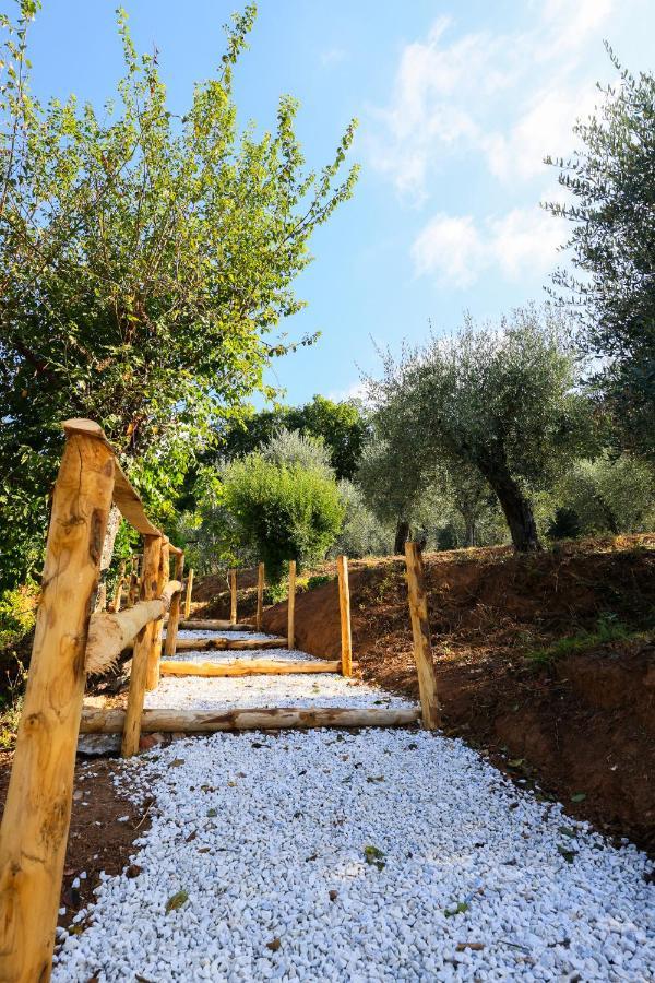 Agriturismo Terra Volonteri Монтекатини Терме Екстериор снимка