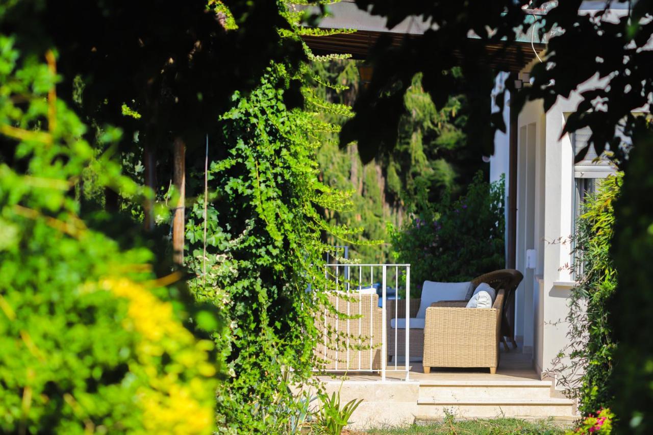 Agriturismo Terra Volonteri Монтекатини Терме Екстериор снимка